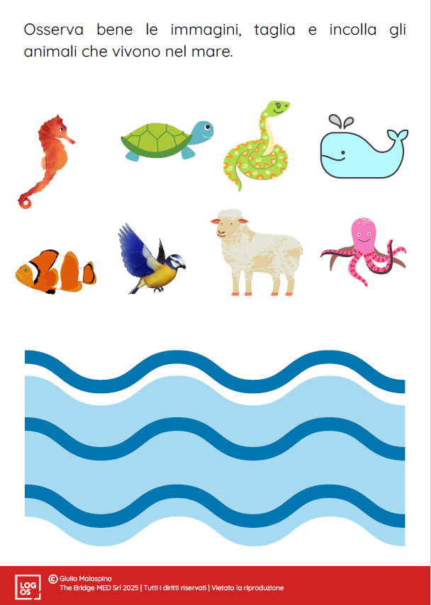 Viaggiamo tra le parole_Giulia_Malaspina3